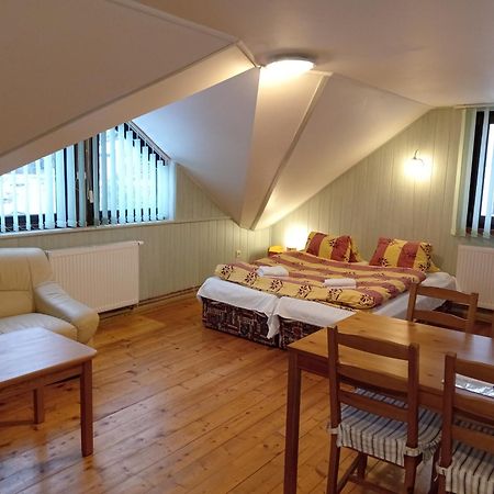 Apartmany Smika Рокицани Экстерьер фото